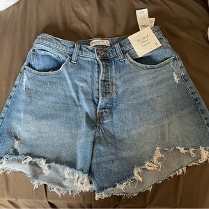 Abercrombie & Fitch Curve Love The Dad Short High Rise 10/30